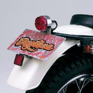 DAYTONA（デイトナ） 250TR ステンレスショートフェンダー[フロント