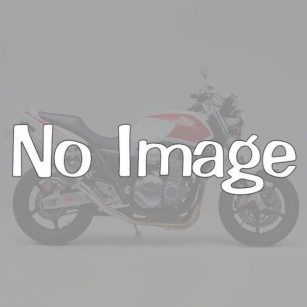 デイトナ DAYTONA 46591 マフラーステー DS/DSC1100スラッシュカットマフラー(...