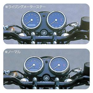 PLEASURE W400 W650 メーターカバー類 W650/W400 メーターロアーカバー