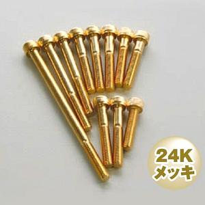 POSH ポッシュ 811640-045 キャップボルト M6×45 ステレス 24Kメッキ 2個セット 汎用｜motokichi