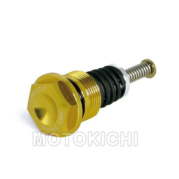 SP武川 タケガワ 02-01-5052 サーモスタットユニット Dトラッカー125 KLX125 ...