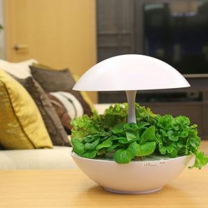 水耕栽培　室内LED AkarinaアカリーナOMA05 ブルー水耕栽培セット LED 水耕栽培 Akarina05 アカリーナ 野菜栽培器 - 水耕栽培専門店