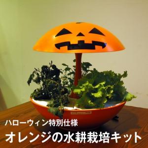 水耕栽培キット Akarina05 ブルー サラダ菜たね スポンジ 液体肥料 灯