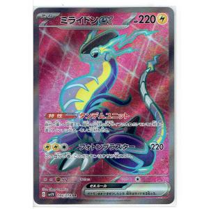 ポケモンカードゲーム034/XY-P ハリマロン PROMO : モトナワールド