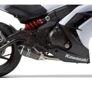 ZX-6R/6RR 09-22 S1R ブラックカーボン フルエキゾーストマフラー Two