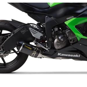 Kawasaki ZX-6R 20mmローダウンセット EFFEX : モトパーツ