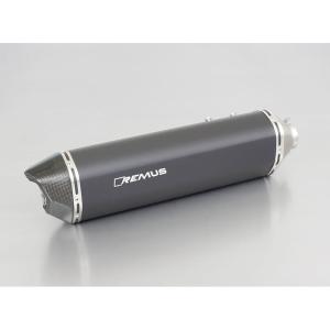 AKRAPOVIC（アクラポビッチ） 直送品 スリップオンライン カーボン