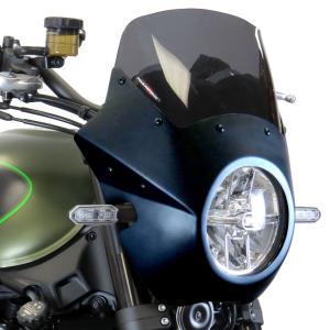 Z650RS リングポジション・LEDテールランプ (クリアレンズ) アーキ