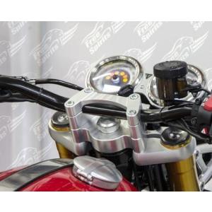 ヒールテックエレクトロニクス エキゾーストサーボエリミネータ