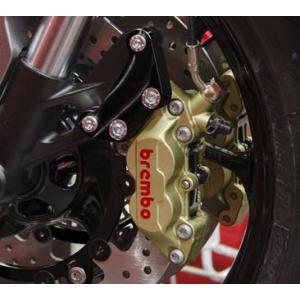 Kawasaki Z900RS HUGGER リアフェンダー マットブラック POWERBRONZE