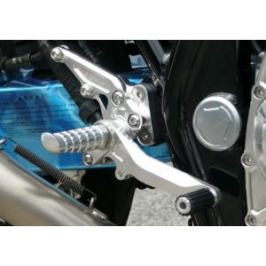 アグラス(AGRAS) バックステップ 4ポジション XJR1300/1200 312-251-000｜motoparts