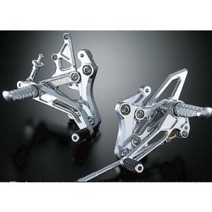 Puig（プーチ） Puig 6477J REAR-FENDER [MATT BLACK] SUZUKI DL1000 V