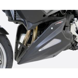 BMW F900R/XR (20-26) アンダーカウル ブラック/シルバーメッシュ