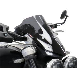 2025年式 Z900RS SE ロングテールカウル メタリックフラットスパーク