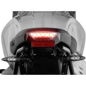 ワンダーリッヒ フェンダーレステールライトキット RnineT 14-