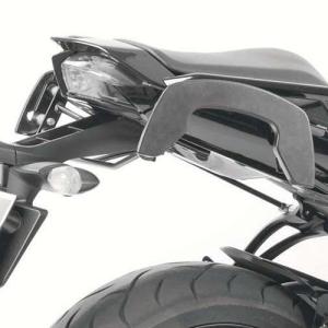 ヒールテック(Healtech Electronics) O2センサーキャンセラー ZX-10R