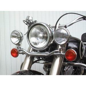 National Cycle 2ピースフロントフェンダーチップ XV1600