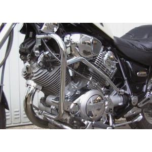 FEHLING（フェーリング） プロテクションガード ペア VIRAGO 750