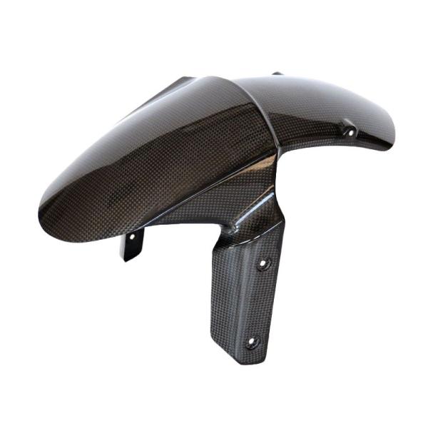 ライテック(Lightech) カーボンフロントフェンダー ZX-10R 16- CARK9810