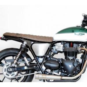 トライアンフ ストリートスクランブラー アルミサイドカバー マットシルバー RAISCH