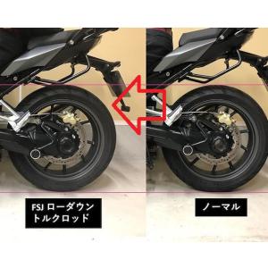 BMW R1250GS/R1200GS ローダウントルクロッド ブロンズ FEED SPORTS JAPAN｜motoparts