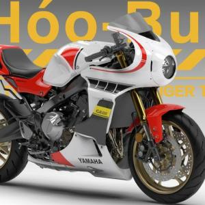 YAMAHA XSR900GP アンダーカウル　ワイズギア ワイズギア YAMAHA XSR900GP アンダーカウルキット グレー Q5K