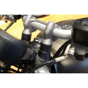 トライアンフ 水冷 スクランブラー900 ハンドガード パワーブロンズ