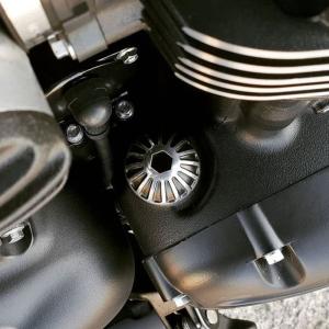 トライアンフ 水冷 スクランブラー900 ハンドガード パワーブロンズ