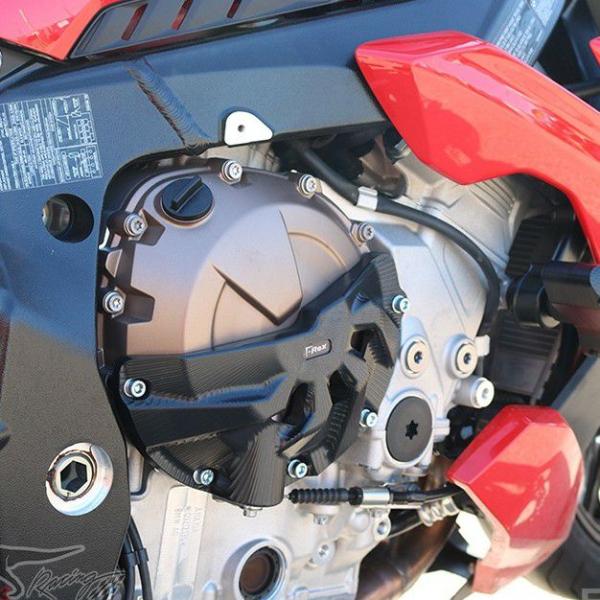 S1000R S1000RR エンジンガード/ケース T-REXレーシング