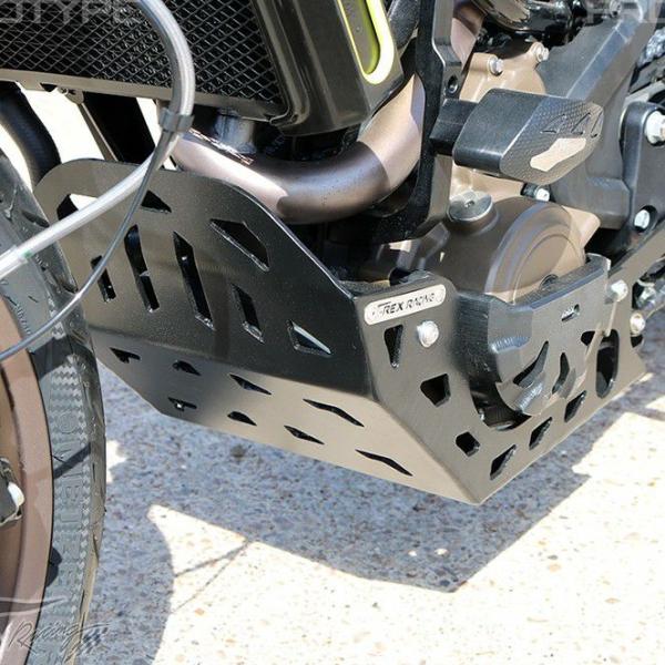 スヴァルトピレン/スヴァルトピレン 401 スキッドプレート ブラック T-Rex Racing