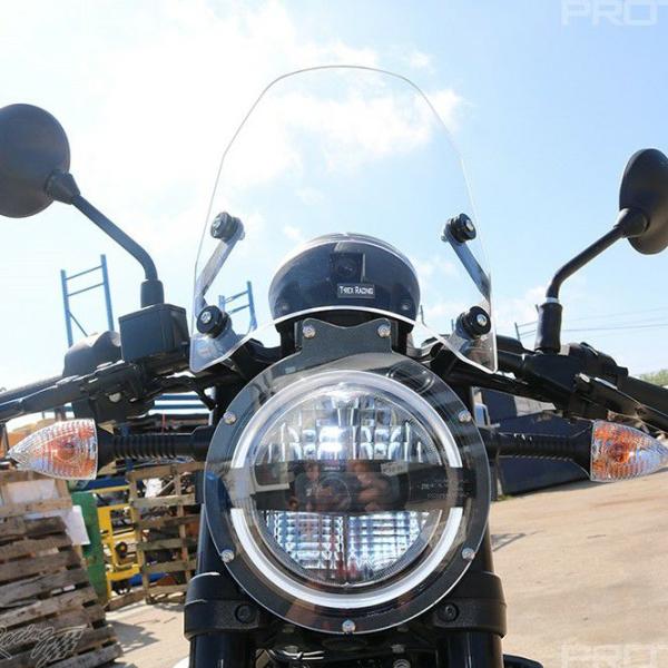 スヴァルトピレン/ヴィットピレン 401 スクリーン T-Rex Racing