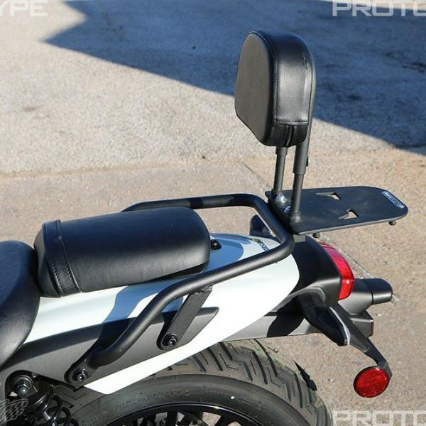 エリミネーター バックレスト＆グラブバー ラゲッジラック T-Rex Racing