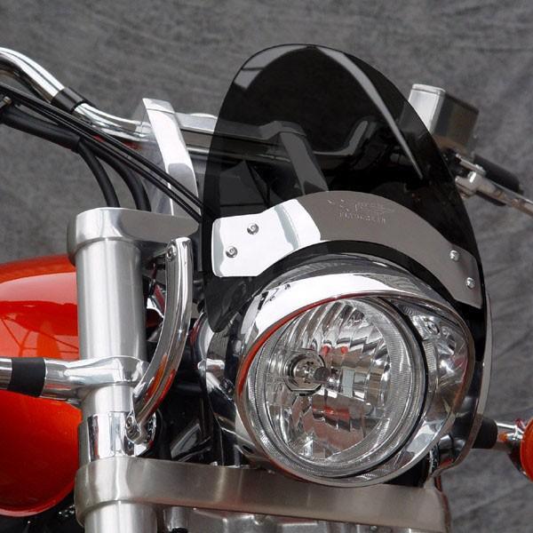 National Cycle Flyscreen LS ウィンドシールド カーブドブラケット 52-...