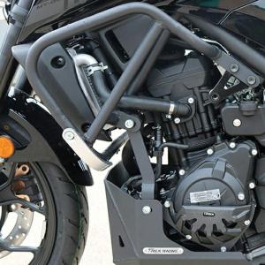 DAYTONA（デイトナ） エンジンプロテクター/ MT-25 : バイク&車パーツ