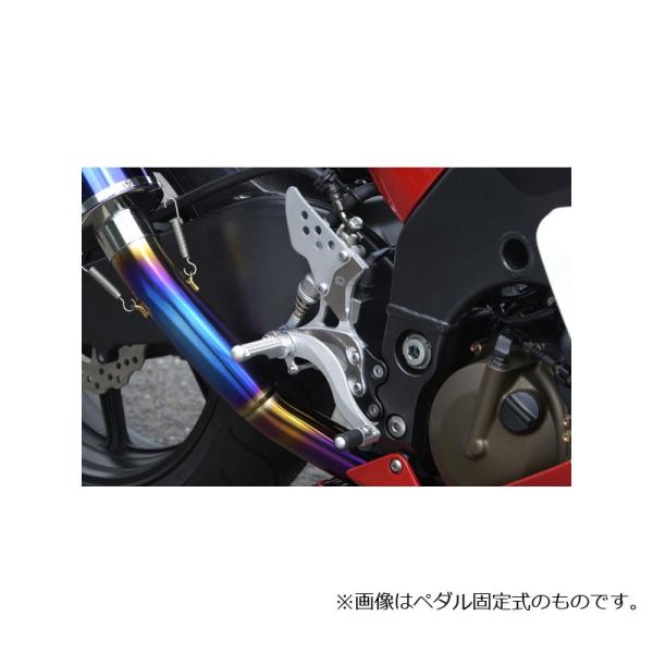 ビートジャパン(BEET JAPAN) ハイパーバンク ペダル可倒式 逆チェンジ可 ZX-10R 0...