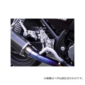 0111-K71-20 ビート BEET バックステップ 固定式 全年式 ゼファー750
