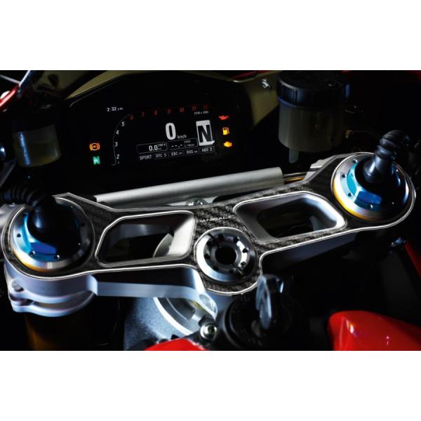 プリント(print) トップブリッジステッカー 1299/1199 パニガーレ 12-16