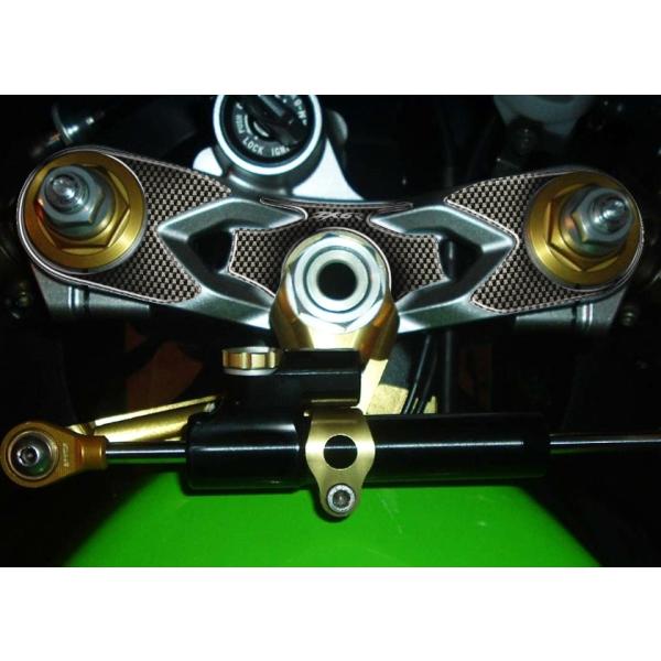 プリント(print) トップブリッジステッカー ZX-6R 05-06
