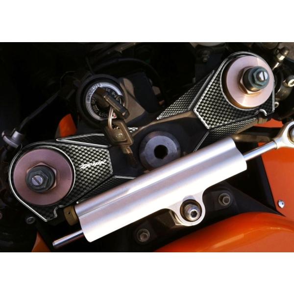 プリント(print) トップブリッジステッカー ZX-10R 06-10