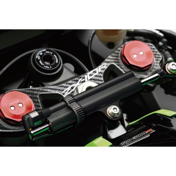 プリント(print) トップブリッジステッカー ZX-10R 11-15