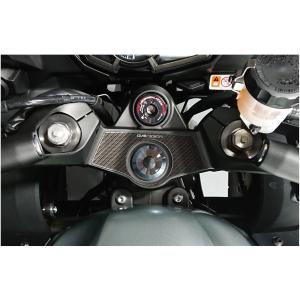 Kawasaki Ninja1000、Ninja1000SX 20mmローダウンセット EFFEX