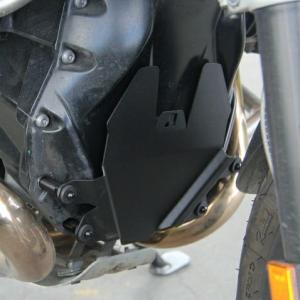 BMW S1000RR フェアリングサイドカバー 左右セット ドライカーボン