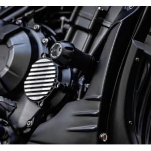 専用ページ TARGA ターガ フェンダーレスキット ウィンカー付き 22-455