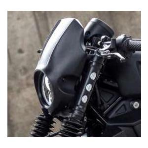 レブル250/500 ヘッドライト&カバー フロントカウル ディアブロ レブル250/500 ヘッドライト&カバー フロントカウル ディアブロ
