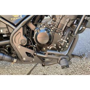 カワサキ（Kawasaki） 98~08 ZRX400 後期 FADDY DADDY ファディー