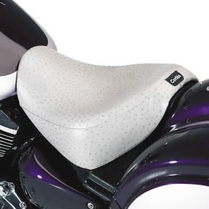 COBRA Fi2000R O2 デジタルフューエルプロセッサー XVS1900C レイダー
