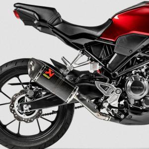 AKRAPOVIC (アクラポビッチ) スリップオンライン (カーボン