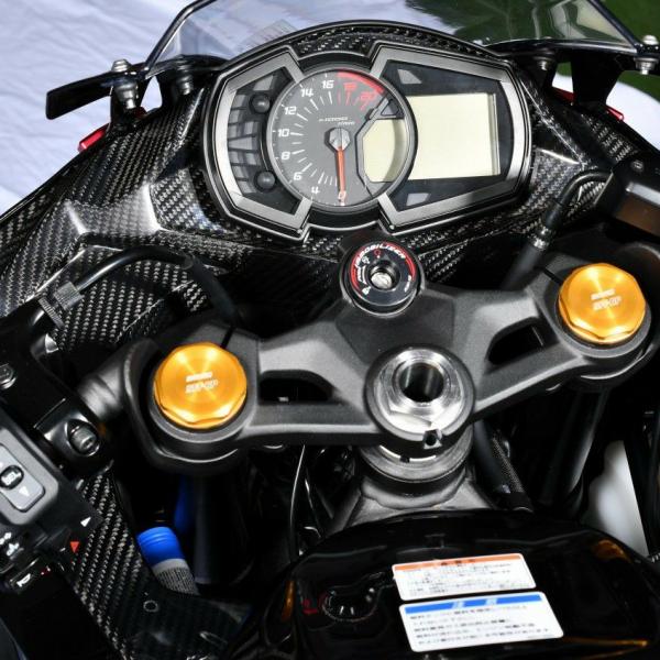 ZX-25R メーターカバー ドライカーボン SPEEDRA