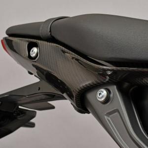 ストリートファイター V4/V4S クラッチカバー キット ナチュラル CNC