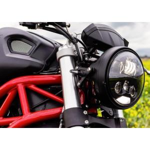 イルムバーガー スイングアームカバー グロスカーボン - Ducati